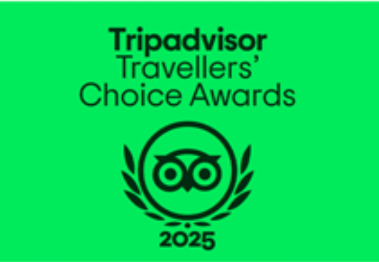 Trip Advisor